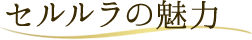 セルララの魅力